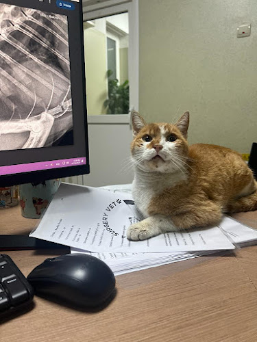 TRAUMA SURGERY VET SRL recenzii, adrese și ore de deschidere